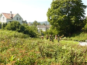 Bjørn Eidsvåg og Lisa Nilsson i Fred. Olsen parken 31. juli 2008