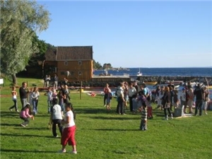 Sommerfest i Hvitsten 28. juni 2008