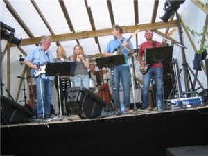 Sommerfest i Hvitsten 28. juni 2008