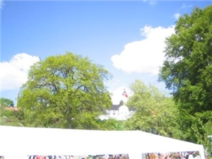 17. mai i Hvitsten 2009