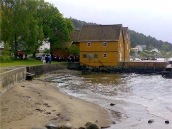 Åpen kaffe på Sjøboden i anledning TV-Aksjonen søndag 18. oktober kl 12:00 - 16:00. Velkommen til en innsats for REGNSKOGFONDET