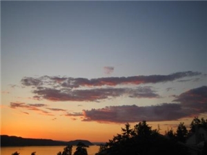 Sommerfest 27. juni 2009 