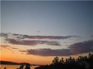 Sommerfest 27. juni 2009 