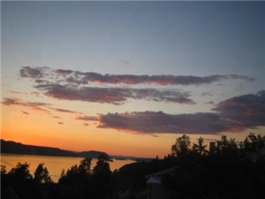 Sommerfest 27. juni 2009 