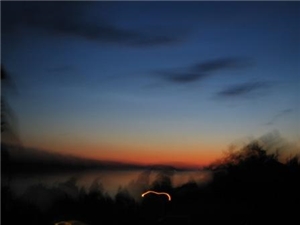 Sommerfest 27. juni 2009 