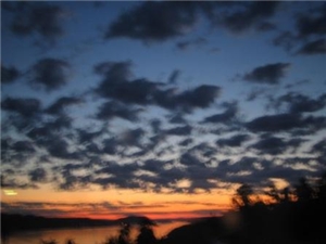 Sommerfest 27. juni 2009 