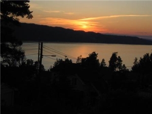 Sommerfest 27. juni 2009 